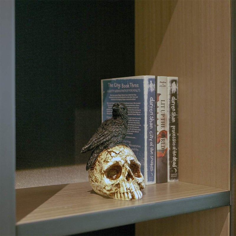 ThriBartLive Raven On Skull Halloween Home Decor - Gothic Crow On Skull Statue, Bird Perching On Skeleton Figurine, Macabre Ossuary Sculpture - Image 5